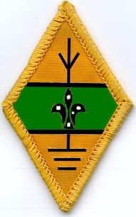 Amateur Radio Badge
